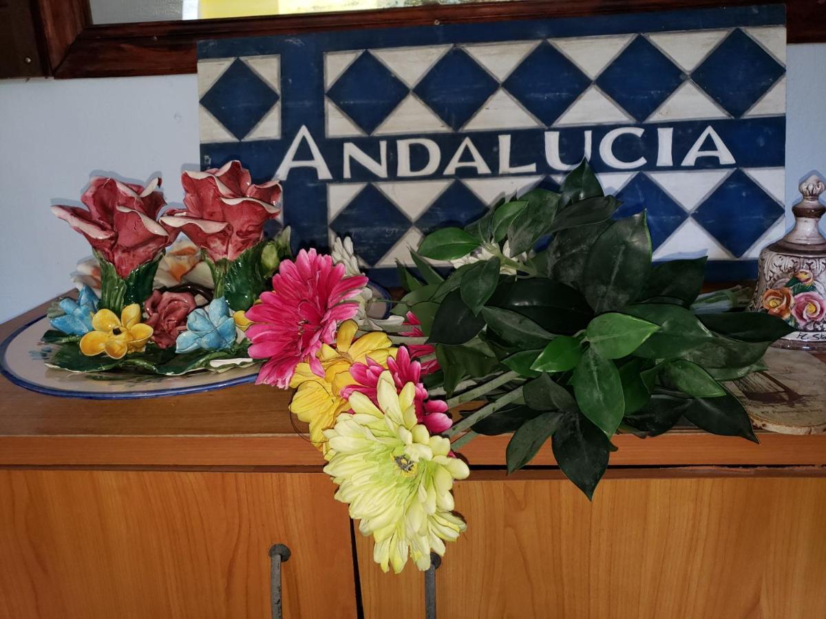 Andalucia Guest House San Juan Eksteriør bilde