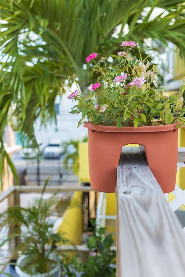Andalucia Guest House San Juan Eksteriør bilde
