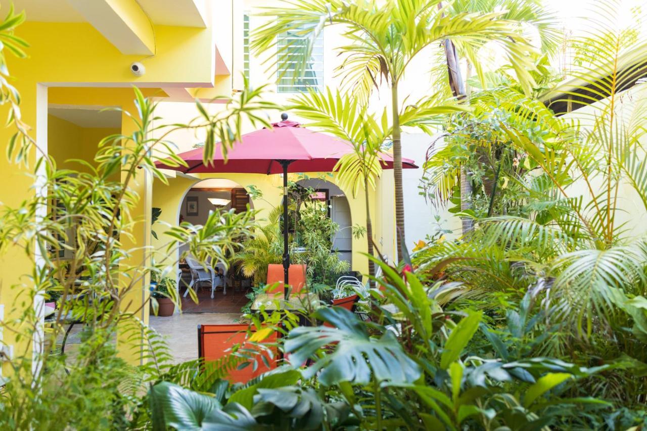 Andalucia Guest House San Juan Eksteriør bilde