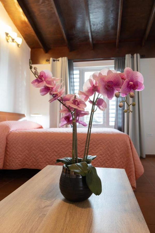 Andalucia Guest House San Juan Eksteriør bilde