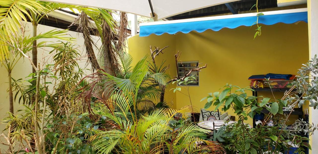 Andalucia Guest House San Juan Eksteriør bilde