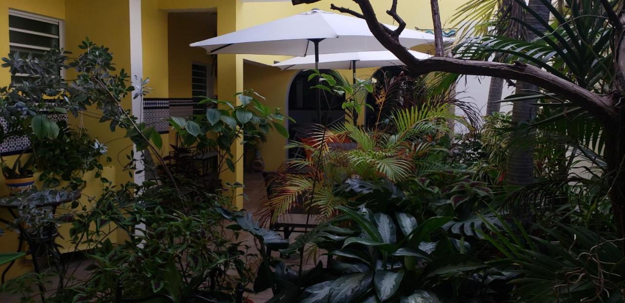 Andalucia Guest House San Juan Eksteriør bilde